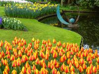 Keukenhof