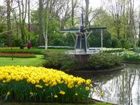 Keukenhof