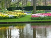 Keukenhof