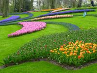 Keukenhof
