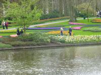 Keukenhof