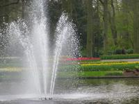 Keukenhof