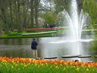 Keukenhof