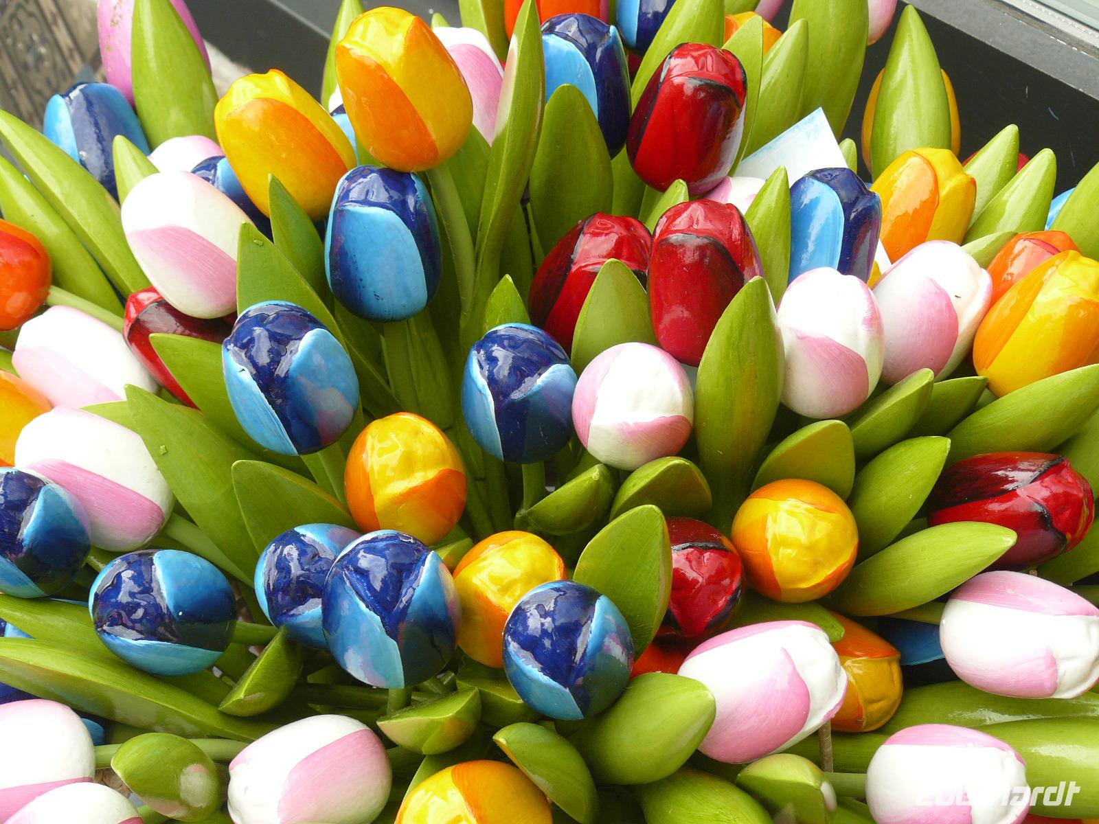 Tulpen uit Amsterdam