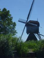 Kinderdijk