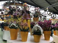 Keukenhof Amsterdam