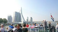 Blick zur Rotterdamer Erasmus-Brücke