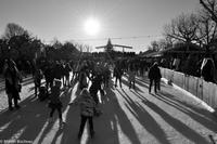 Nationale Freizeitbeschäftigung - Das Eislaufen