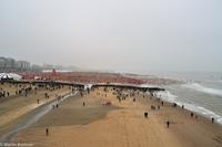 Silvester in Rotterdam-117