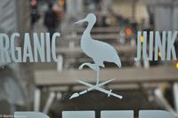 Silvester in Rotterdam-177