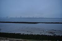 Silvester in Rotterdam-196