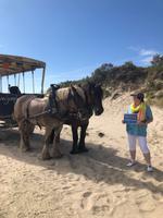 Reiseleiterin Sabine