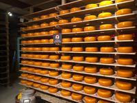 Käsebauernhof De Jacobs Hoeve