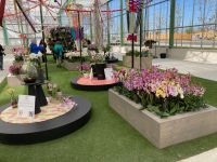 2. Tag – Besuch der Floriade