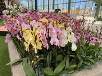 2. Tag – Besuch der Floriade