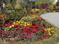 2. Tag – Besuch der Floriade