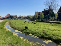 3. Tag – Besuch in Zaanse Schans