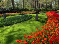 3. Tag – Tulpenblüte im Keukenhof