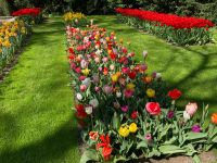 3. Tag – Tulpenblüte im Keukenhof