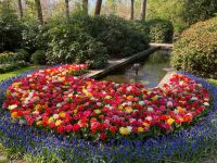 3. Tag – Tulpenblüte im Keukenhof