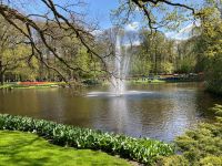 3. Tag – Tulpenblüte im Keukenhof