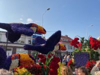 4. Tag – Blumenkorso