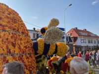 4. Tag – Blumenkorso