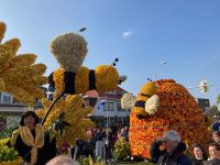 4. Tag – Blumenkorso