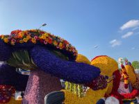 4. Tag – Blumenkorso