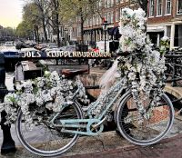 In der Hauptstadt der Niederlande gibt es mehr Fahrräder als Einwohner