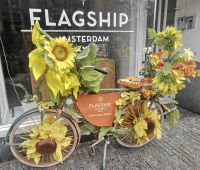 Dekoriertes Fahrrad a la van Gogh, Amsterdam