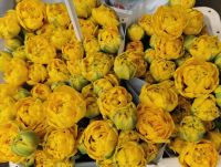 Tulpen auf dem Blumenmarkt