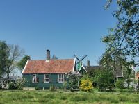 Frühling in Zaanse Scans