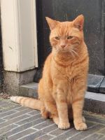 Der Wächter des Jordaan Viertels