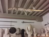 Rembrandt war nicht nur Maler, sondern auch Sammler