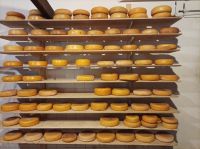 Amstelveen, Käse und Klompen im Rembrandt Hoeve