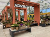 2. Tag – Besuch der Floriade