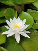 Floriade 2022 in Almere