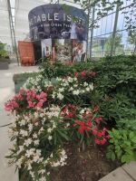 Floriade 2022 in Almere