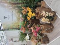 Floriade 2022 in Almere