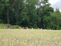 Die Grotten von Zonnenberg (3)