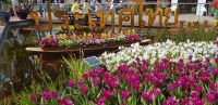 Floriade 2022 - Thailändischer Pavillon.jpg