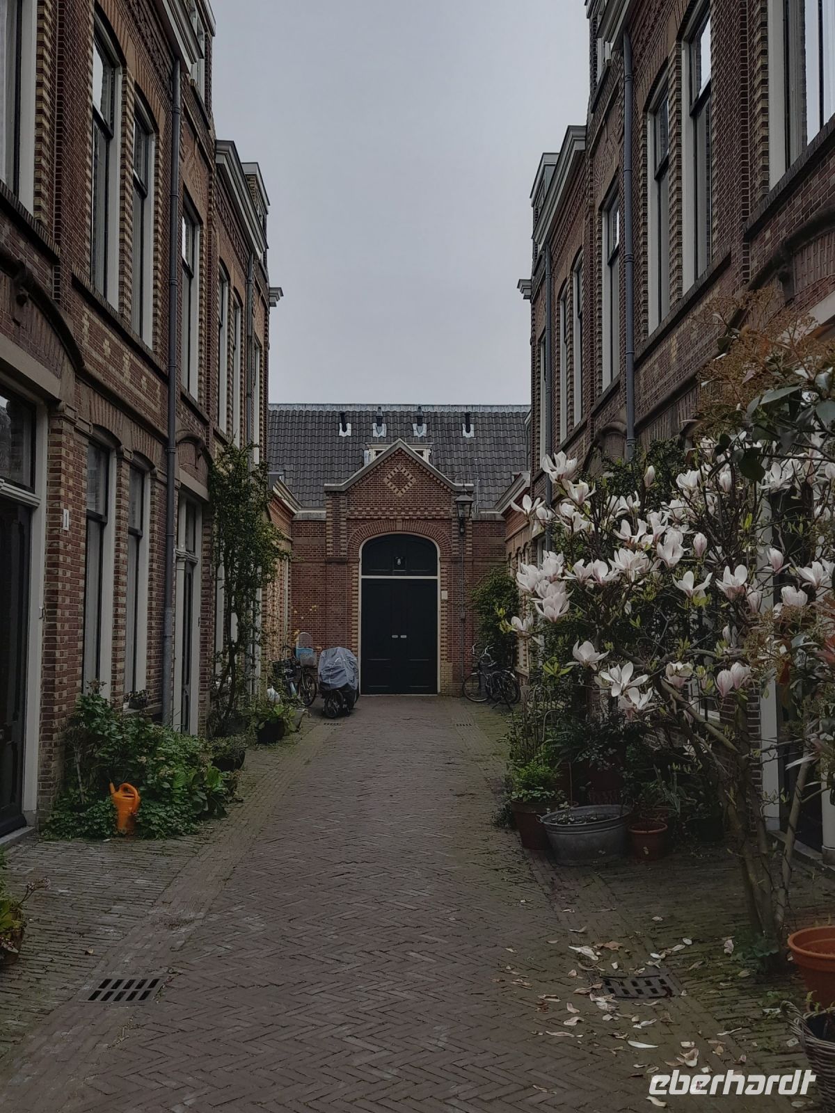 Stadtrundgang in Haarlem