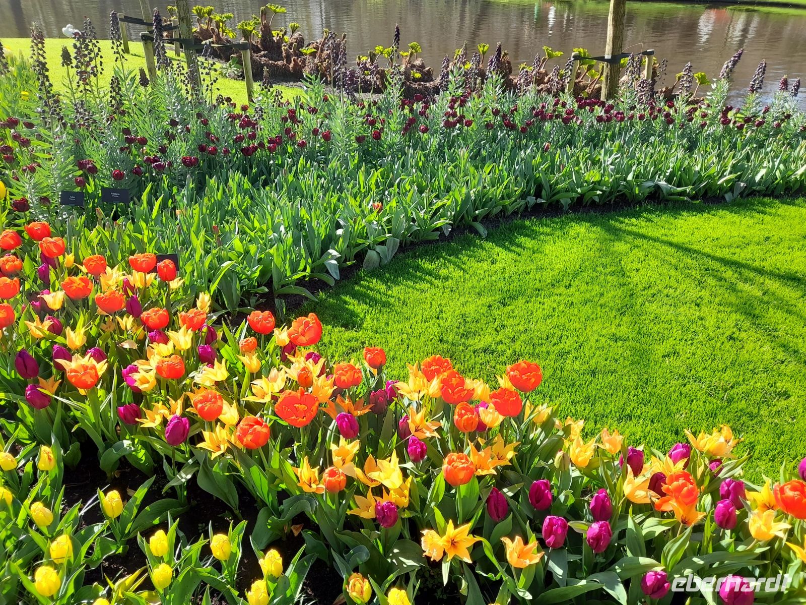 Blütenpracht im Keukenhof