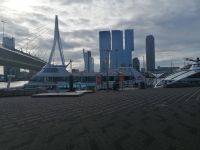 Hafenstadt Rotterdam