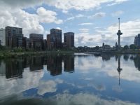 Stadtrundgang durch Rotterdam: Blick von Coolhaven Richtung Fernsehturm (G.J. de Jonghweg)