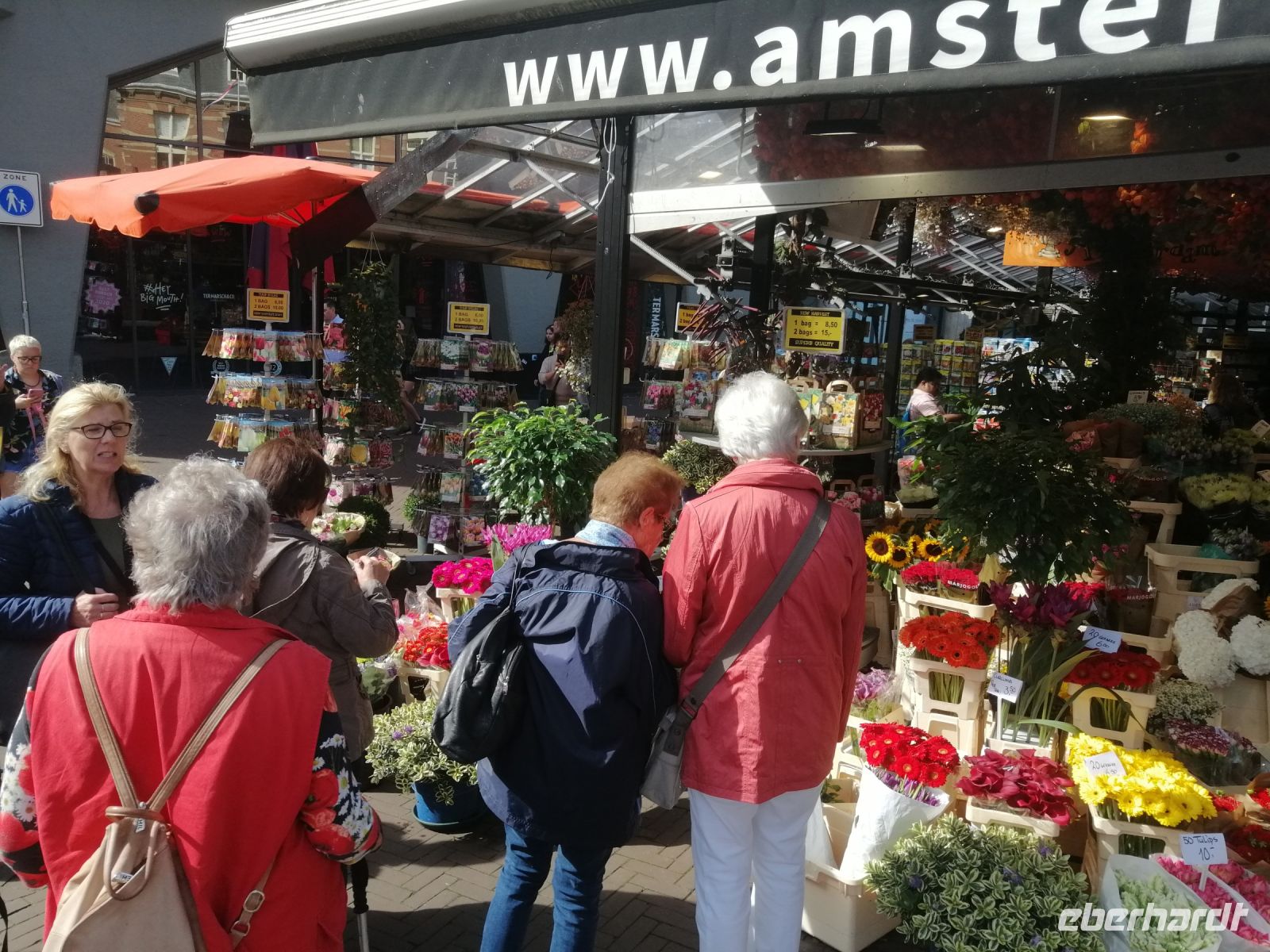 auf dem Blumenmarkt in Amsterdam während der Stadtführung