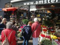 auf dem Blumenmarkt in Amsterdam während der Stadtführung