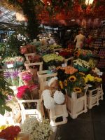 auf dem Blumenmarkt in Amsterdam während der Stadtführung