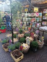 auf dem Blumenmarkt in Amsterdam während der Stadtführung